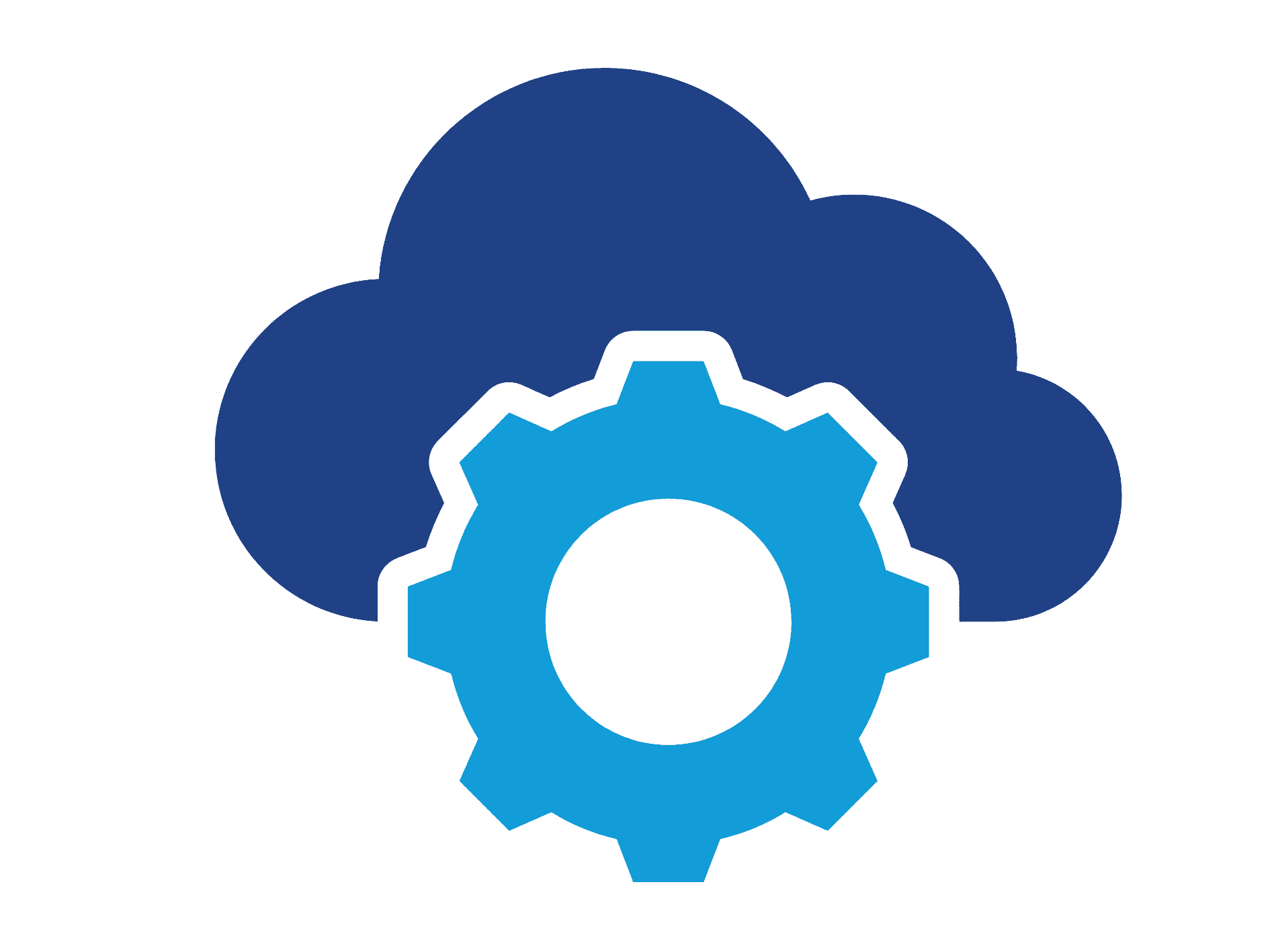 software